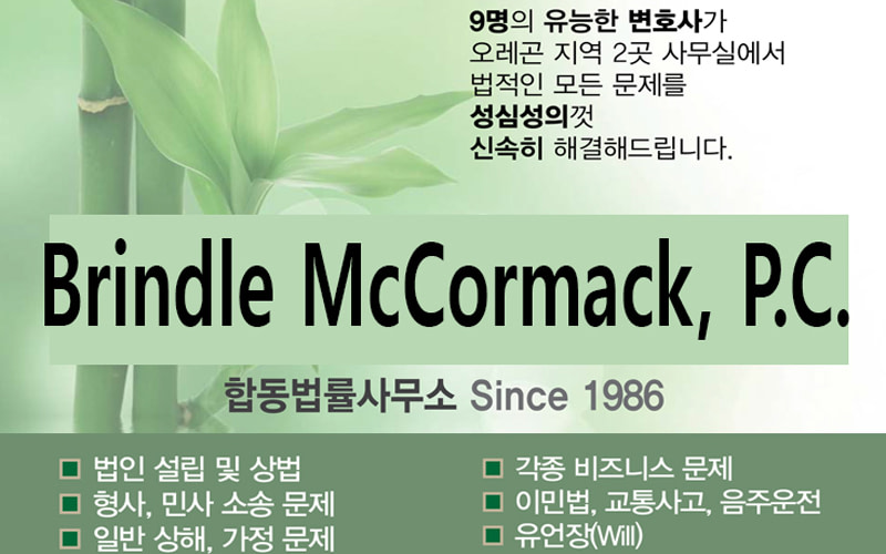 브랜들 변호사1